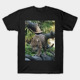 Spotted Jaguar T-Shirt